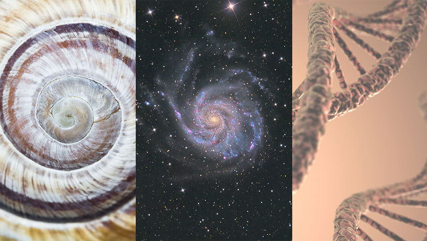spirals and vortexes